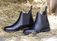 Harry's Horse Saint jodhpurs - thumbnail