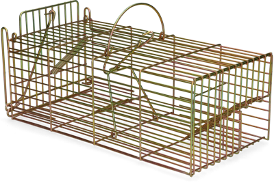 Inloopval rat levend massa Inloopval rat levend massa