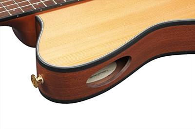 Ibanez FRH10N Natural Flat elektrisch-akoestische klassieke gitaar - thumbnail