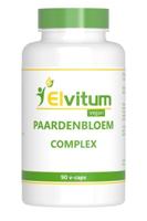 Elvitum Paardenbloem Complex Capsules - thumbnail