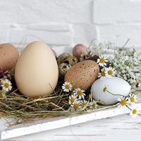 Ambiente Pastel Eggs Papieren Servetten - thumbnail