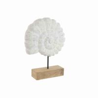 Decoratieve figuren Home ESPRIT Wit Natuurlijk Mediterrane Schelp 29 x 7,5 x 38,5 cm - thumbnail