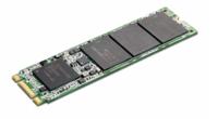 ThinkPad - Solid state drive - gecodeerd - 256 GB - intern - M.2 - SATA - thumbnail