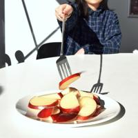 Telescopische Vork - thumbnail