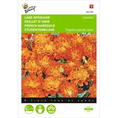 Zaden Tagetes lage Afrikaan Carmen Buzzy - Buzzy
