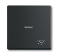 Busch-Jaeger 2CKA001751A3045 Wipschakelaar licht Afdekking Busch-axcent, Future lineair Diepzwart (RAL 9005), Zwart 1 stuk(s) - thumbnail