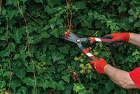 WOLF-Garten Heggenschaar Handmatig - thumbnail