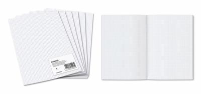 Aurora ministerpapier, geruit, A4, pak van 240 vel (geplooid)