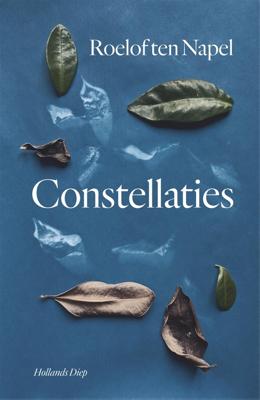 Constellaties - Roelof ten Napel - ebook