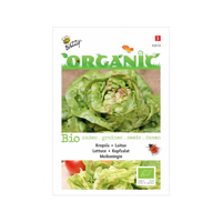 Zaden Organic Kropsla Meikoningin (BIO) Buzzy - Buzzy - thumbnail
