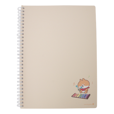 Corgi notebook (diverse)