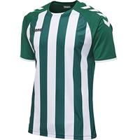 Hummel JERSEY 1/2 Core Striped Jersey SS - thumbnail