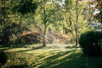 Fiskars X-serie Zwenksproeier S-M - 1070832 - thumbnail