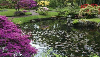 Tuin vijver 130x70cm Tuinschilderij Customize-it - Customize it Tuin vijver 130x70cm Tuinschilderij Customize-it - Customize it