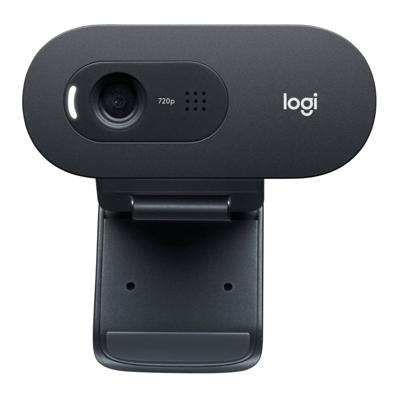 Webcam Logitech C505e HD 720P Zwart