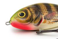 Salmo Fatso F14S Sinking Holo Perch - thumbnail