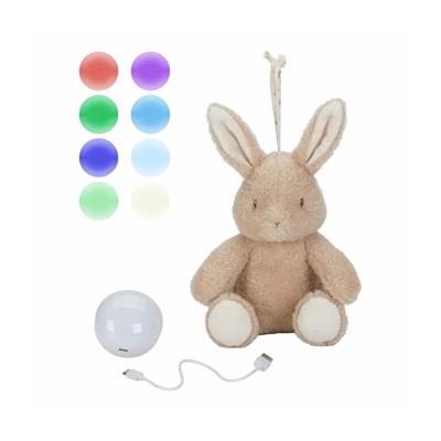 Little Dutch knuffelkonijn licht&geluid