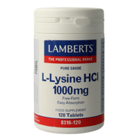 L-Lysine 1000mg 120 Tabletten - thumbnail