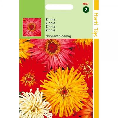 Zaden Zinnia Chrysanthbloemig gemengd Hortitops - Hortitops Zaden Zinnia Chrysanthbloemig gemengd Hortitops - Hortitops