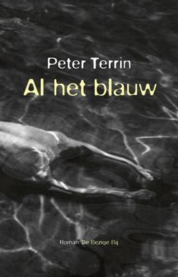 Al het blauw - Peter Terrin - ebook