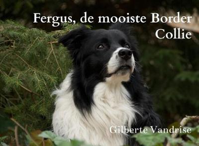Gilberte Vandrise Fergus, de mooiste Border Collie Gilberte Vandrise Fergus, de mooiste Border Collie
