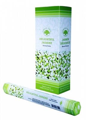 Green Tree Wierook Delightful Jasmin Green Tree Wierook Delightful Jasmin