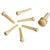D'Addario PWPS11 Plastic Bridge Pins Ivory brugpinnen (set van 6) D'Addario PWPS11 Plastic Bridge Pins Ivory brugpinnen (set van 6)