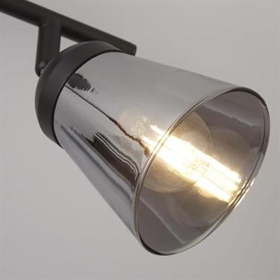 Searchlight Smoke plafondlampMega 2-lichts - 61170-2SM
