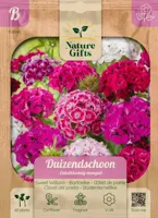 Duizendschoon enkelbloemig mengsel 60st - thumbnail