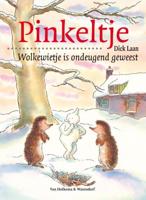 Wolkewietje is ondeugend geweest - Dick Laan - ebook - thumbnail