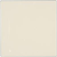 Jung LS 994 B Blindafdekking Afdekking LS 990, LS design, LS plus Crème-wit 1 stuk(s) - thumbnail