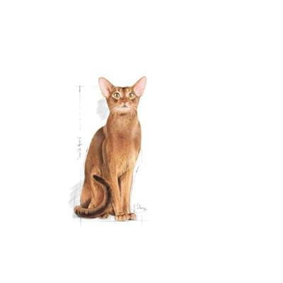 ROYAL CANIN Protein Exigent Droog kattenvoer 400 g - thumbnail