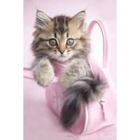 Kat Minnie Poster 61x91.5cm - thumbnail