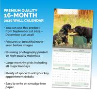 Rottweiler Kalender 2026 - thumbnail
