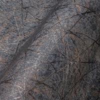 Livingwalls Metropolitan Stories. Travel Stories - Zwart - Metallic - 391775 - thumbnail