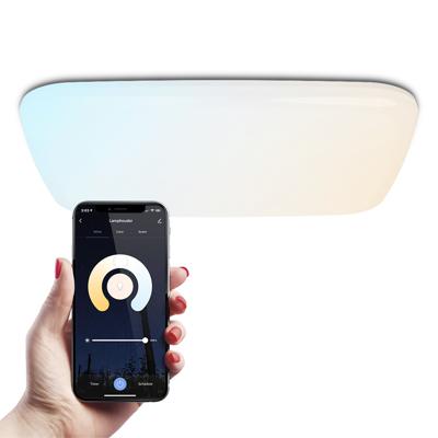 Smart plafondlamp - Vierkant - 30W - 3000lm - 42x42cm - RGBWW - Wifi + Bluetooth - Google Home, Amazon Alexa en Siri - Frameless - Bestuurbaar via App en Stem