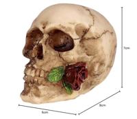 Schedel met Roos tussen Tanden Woonaccessoire - thumbnail