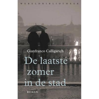 De laatste zomer in de stad (Paperback)