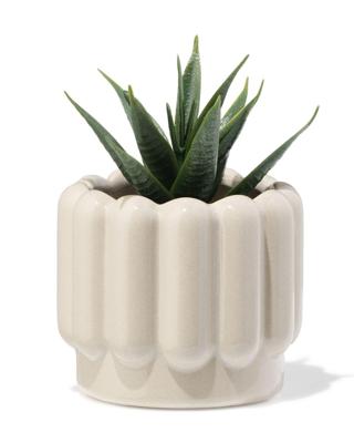 HEMA Bloempot ⌀7x6cm keramiek ribbel grijs (grijs)