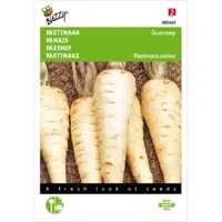 Pastinaak Guernsey - thumbnail