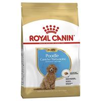 Royal Canin Poodle voer voor puppy 3kg - thumbnail