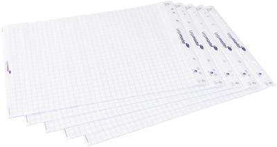 Legamaster flipchartpapier, ft 65 x 98 cm, geruit, 20 vel, pak van 5 stuks