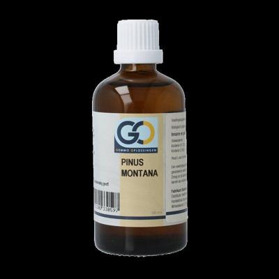 Pinus montana bio 100 Milliliter