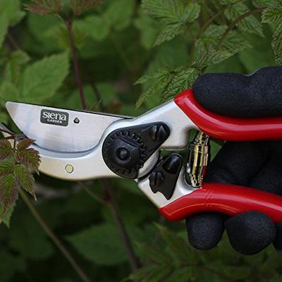 Siena Garden CG1020 Grasschaar 21.5 cm Bypass