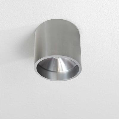 Opbouwspot Artdelight Ormond 1 Lichts LED 2700K Dimbaar Aluminium