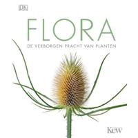 Flora - thumbnail