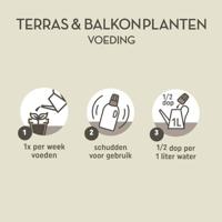Pokon terras balkon planten voeding 1000ml 2 - thumbnail
