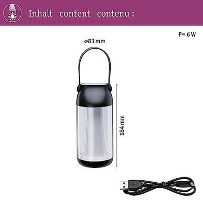 Paulmann 94267 LED-tafellamp voor buiten 1.3 W Warmwit Transparant, Antraciet