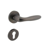 Deurkruk Jupiter op geveerde stalen rozet met nokken ø53x8mm en profielcilinderplaatjes rvs antracie - thumbnail