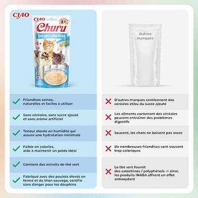 Inaba churu tuna / scallop